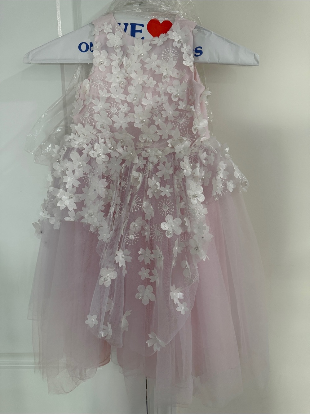 Zoe LTD Size 2T Pink Floral Appliqué Tulle Dress